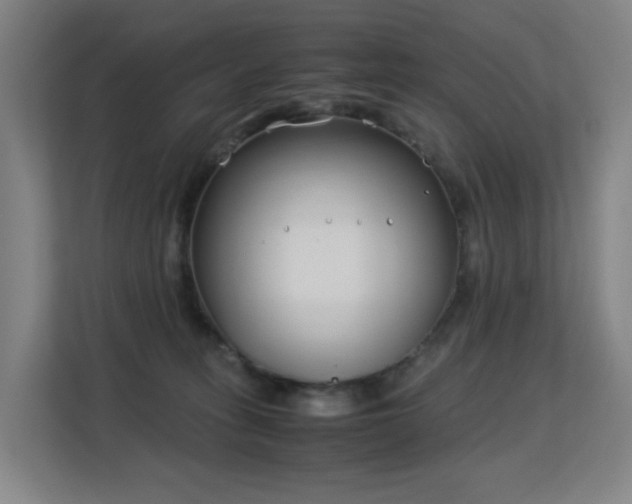 X0000113150275200909111000