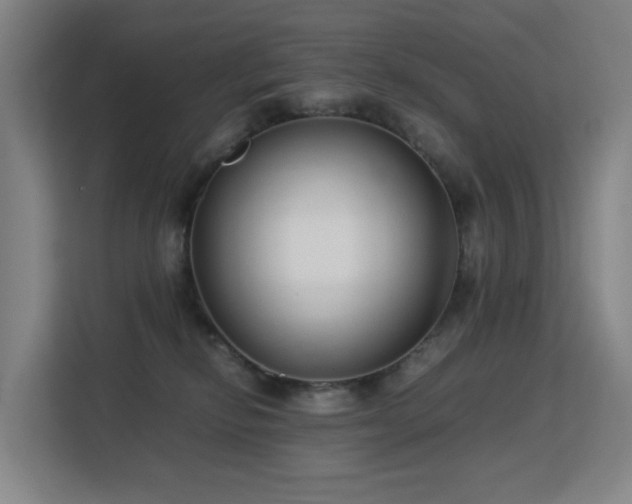 X0000113150278200909111000