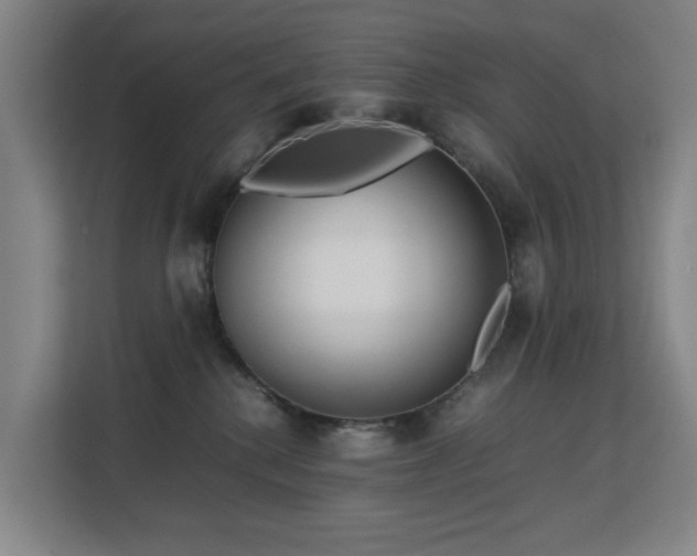 X0000113150280200909111000