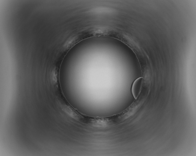 X0000113150282200909111000