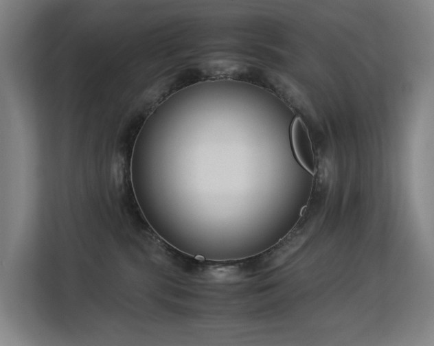 X0000113150283200909111000