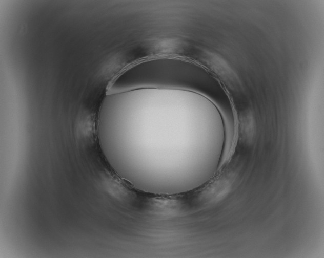 X0000113150284200909111000