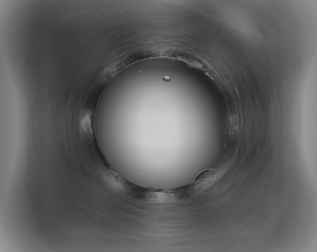 X0000113150286200909111000