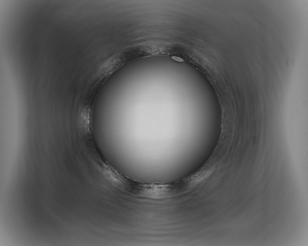 X0000113150288200909111000