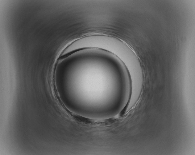 X0000113150289200909110959