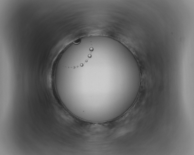 X0000113150290200909110959