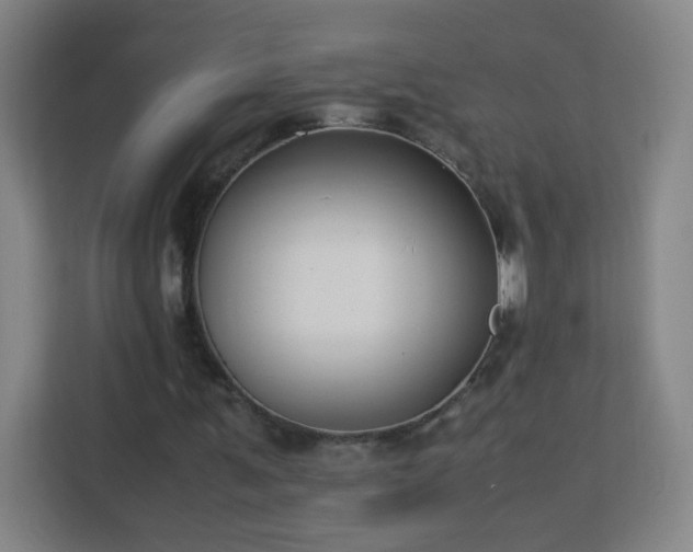 X0000113150291200909110959