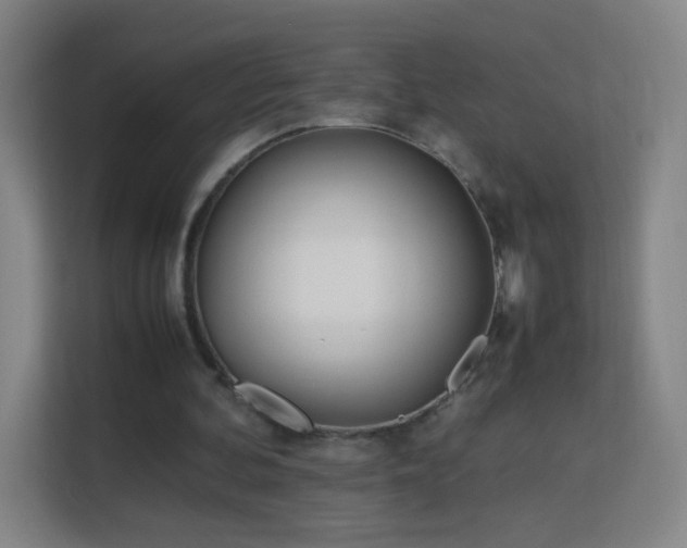 X0000113150292200909110959