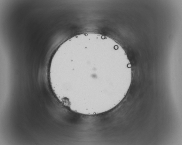 X0000113150293200909110959