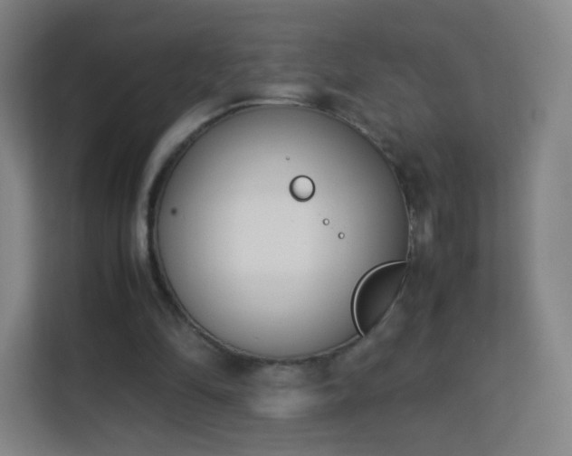 X0000113150294200909110959