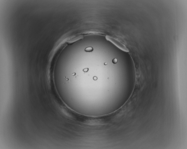 X0000113150296200909110959