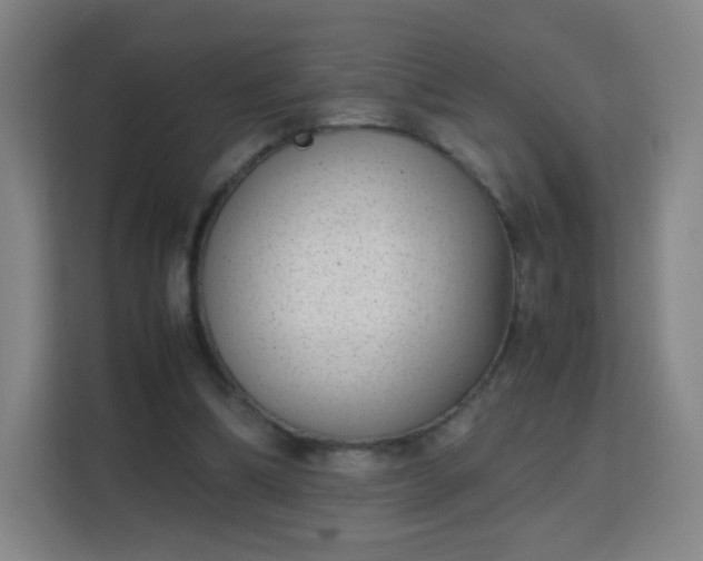 X0000113150298200909110959