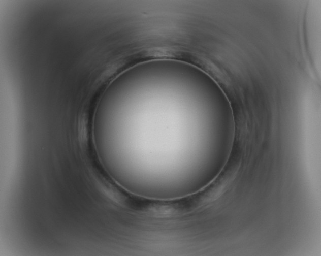 X0000113150299200909110959