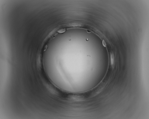 X0000113150300200909110959