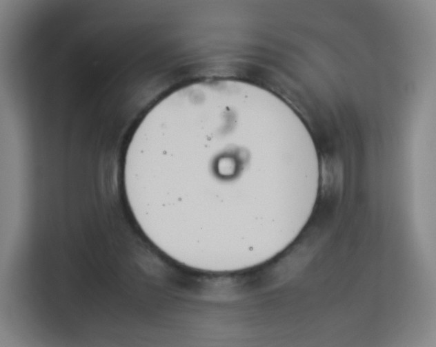 X0000113150301200909110959