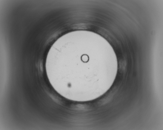 X0000113150302200909110959