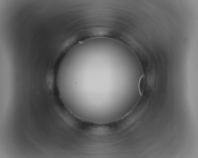 X0000113150304200909110959