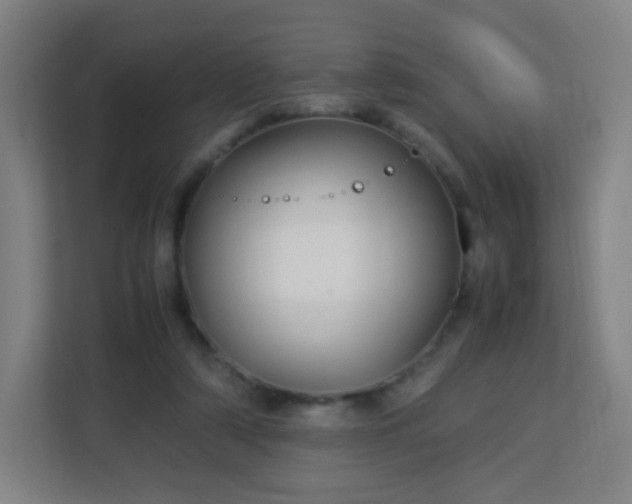 X0000113150306200909110959