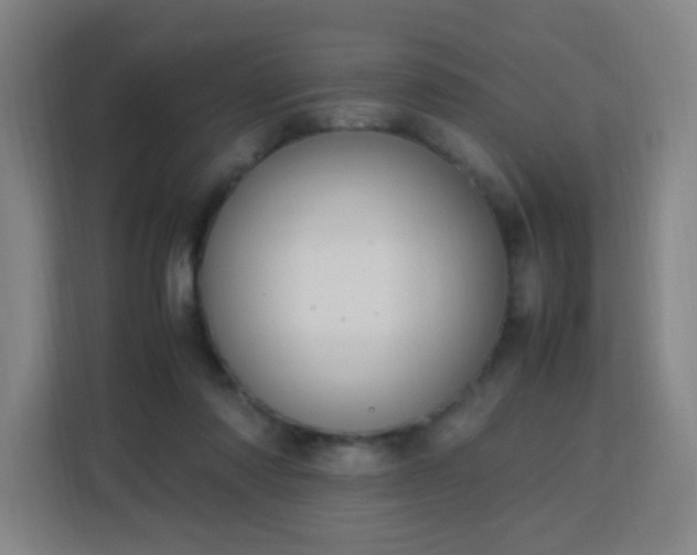 X0000113150310200909110959