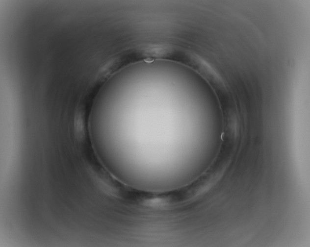 X0000113150312200909110959