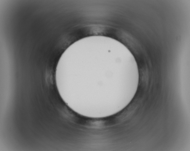 X0000113150313200909110959