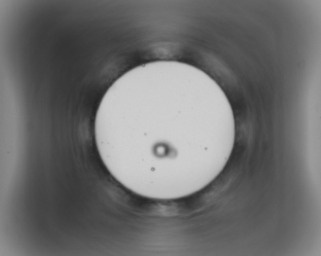 X0000113150317200909110959