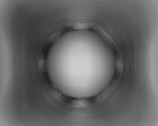 X0000113150322200909110959