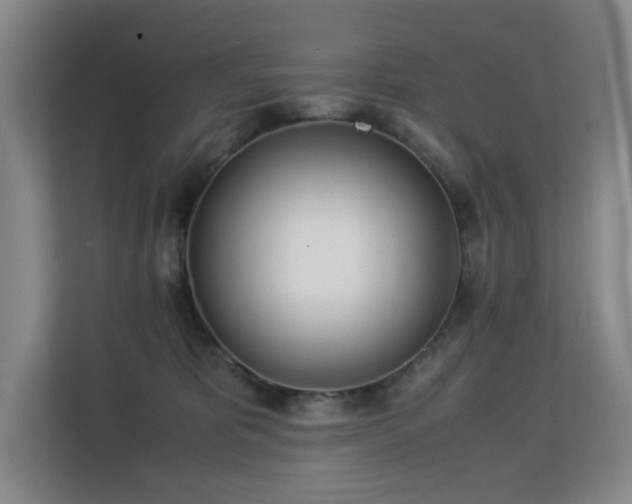 X0000113150325200909110959