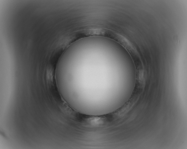 X0000113150326200909110959