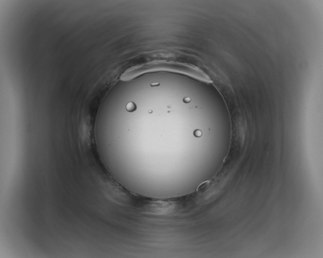 X0000113150328200909110959