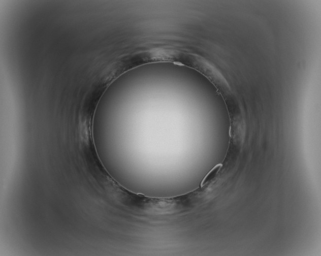 X0000113150329200909110959