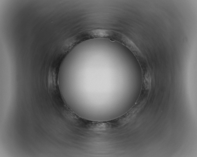 X0000113150330200909110959