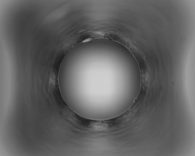 X0000113150331200909110959