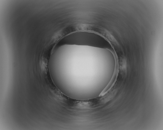 X0000113150332200909110959