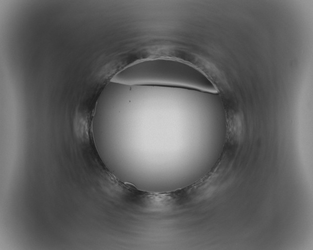 X0000113150333200909110959