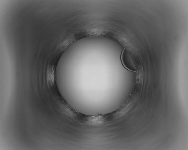 X0000113150334200909110959