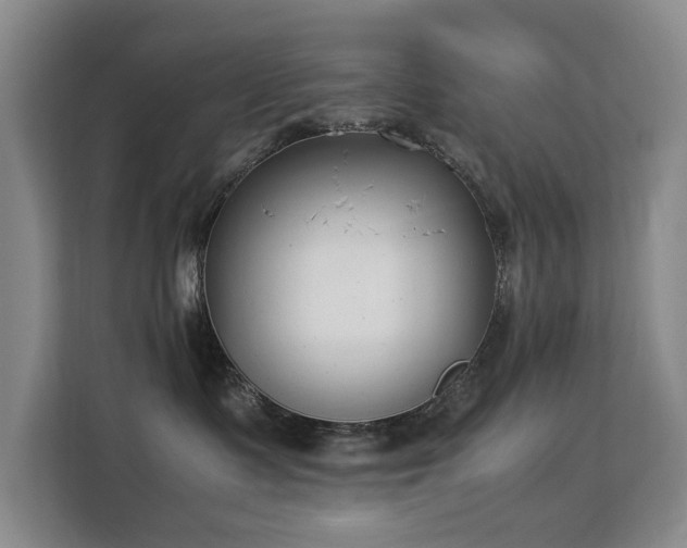 X0000113150335200909110959