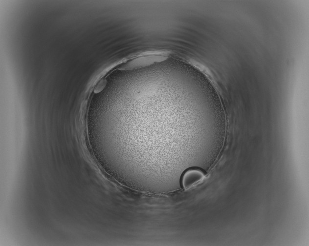 X0000113150337200909110958