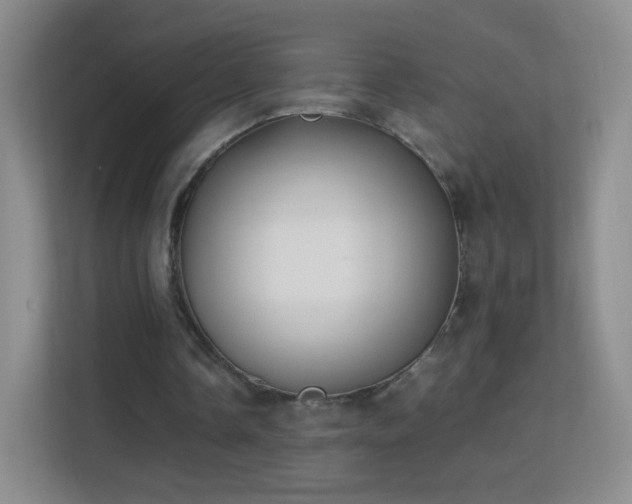 X0000113150338200909110958