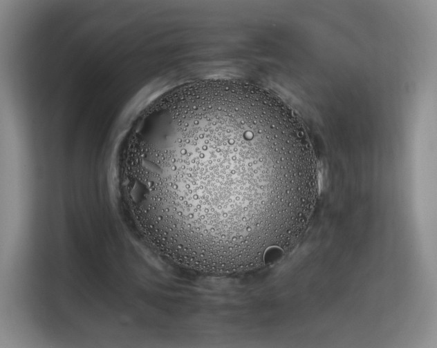 X0000113150339200909110958