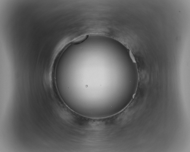 X0000113150340200909110958