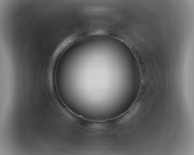 X0000113150341200909110958