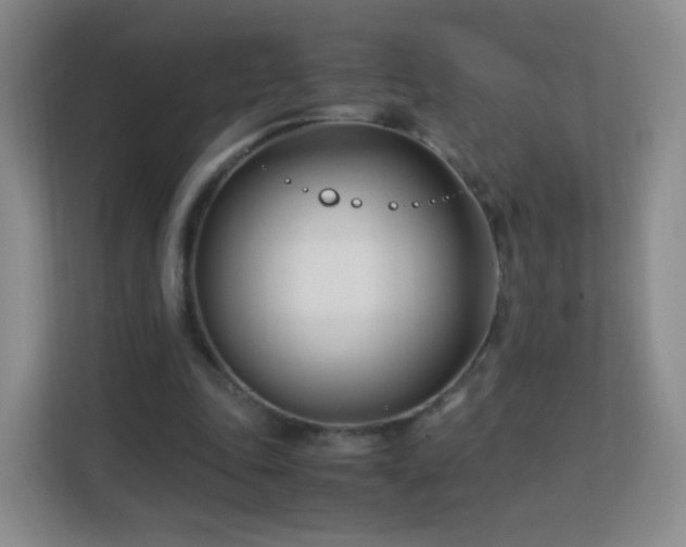 X0000113150343200909110958