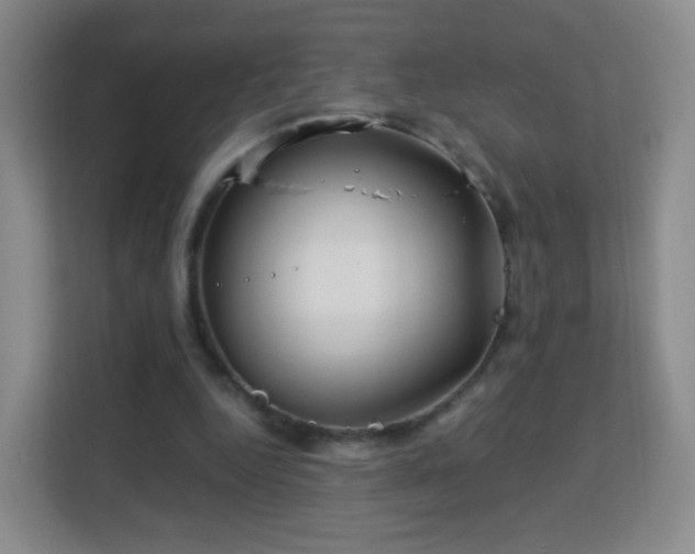 X0000113150344200909110958