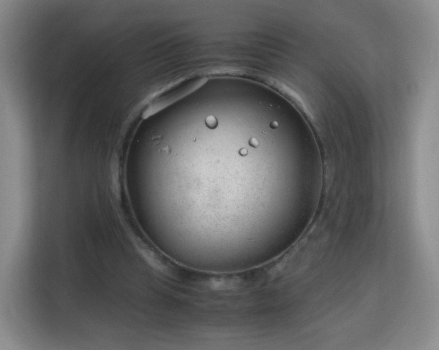 X0000113150345200909110958