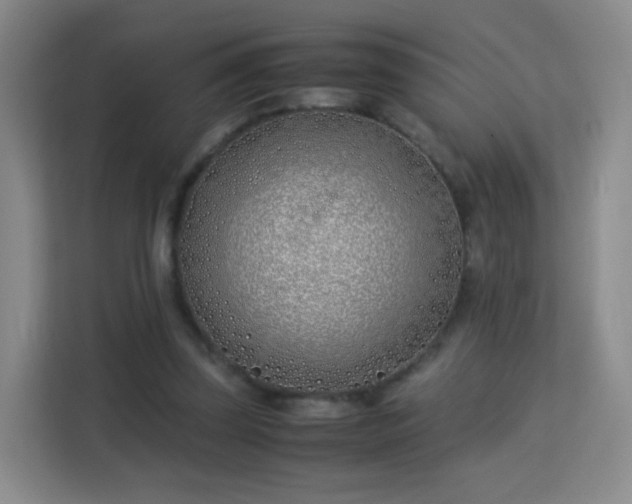 X0000113150347200909110958