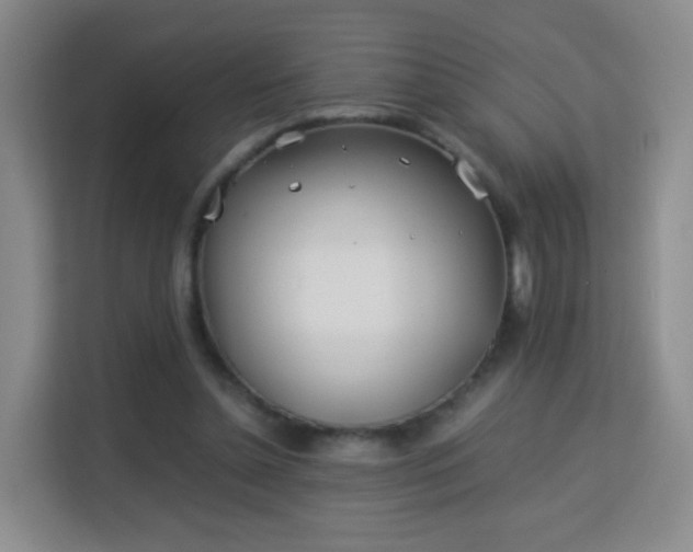 X0000113150348200909110958