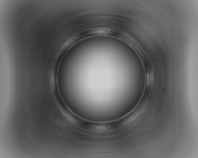 X0000113150349200909110958