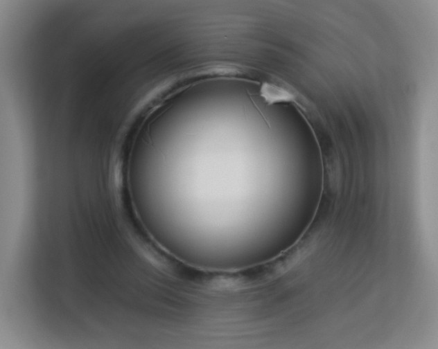 X0000113150350200909110958