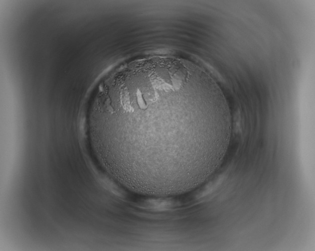 X0000113150351200909110958